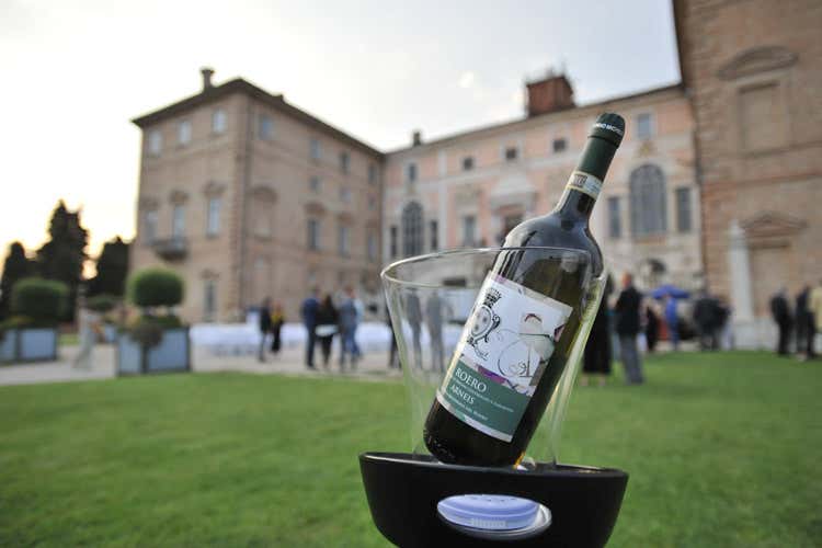 A Vitis, protagonisti i bianchi del Roero (Vitis, i grandi bianchi del Roero)