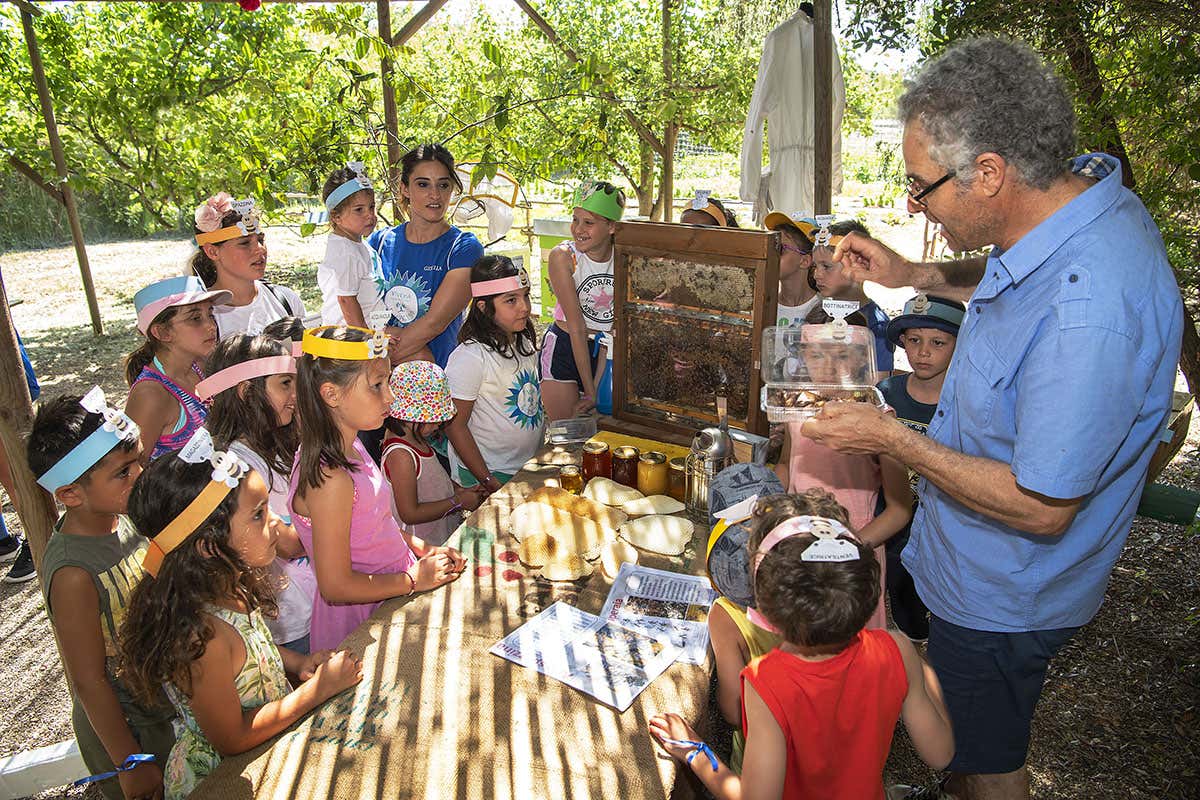 Da quest’anno ci sono cinque fasce d’età Vivosa Apulia Resort, tuffo nel cuore del Salento Da quest’anno ci sono cinque fasce d’età Vivosa Apulia Resort, tuffo nel cuore del Salento