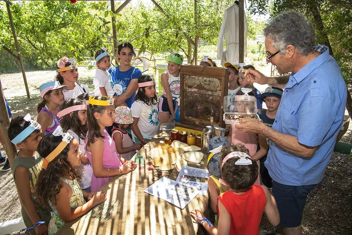 Laboratorio apicoltura Vivosa. Foto:patti&nbsp; Dall&rsquo;Alto Adige alla Puglia una vacanza alla scoperta delle api