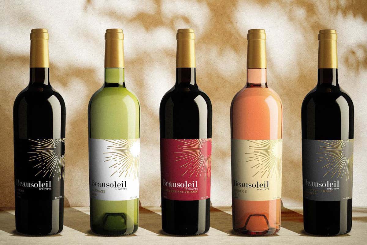 From the Nile to the glass: discovering the wines of Egypt From the Nile to the glass: discovering the wines of Egypt