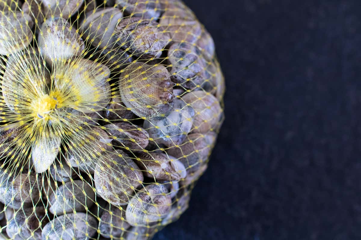 Pesce calano i prezzi di vongola lupino e gallinella a febbraio