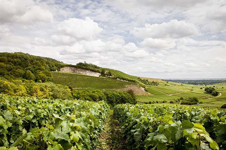 (Vranken-Pommery Monopole Nel 2018 forte investimento sull'export)