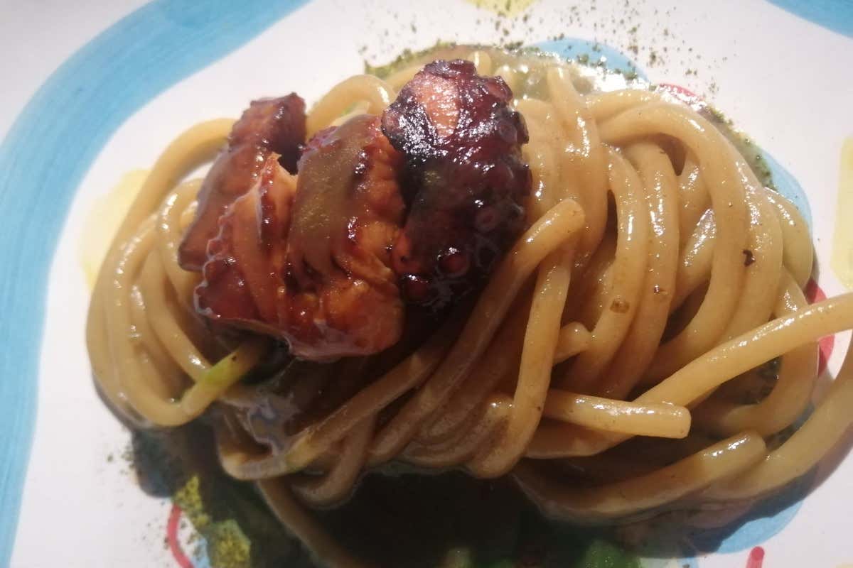 Spaghettone alla griglia con anguilla, polpo, estrazione di cipolla e polvere di alloro