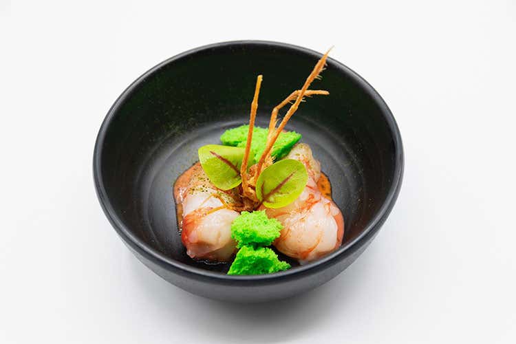 Gambero rosso di palamos marinato, estratto di teste, spugna di planctom e alghe - Accademia Chef&rsquo;s, allievi in cucina Un menu che fa il giro del mondo