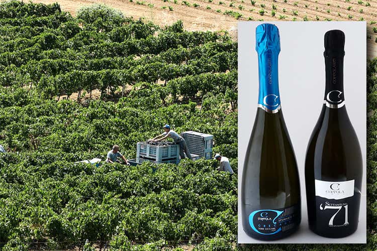 Il Grecante e il Settantuno - L'unica in Sicilia a fare solo bolle Coppola 1971, la scommessa vinta