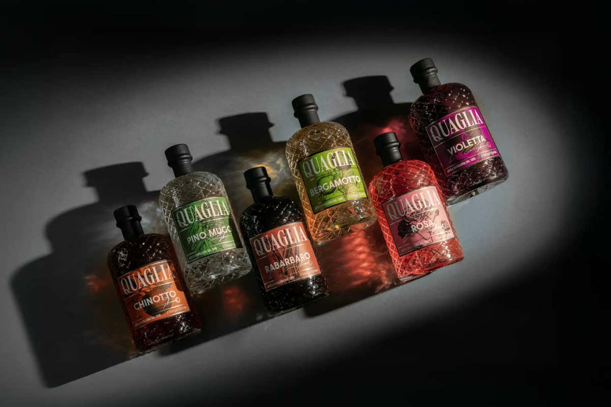 Non solo vermouth: Quaglia porta liquori e distillati d'autore sul lago di Como Non solo vermouth: Quaglia porta liquori e distillati d'autore sul lago di Como