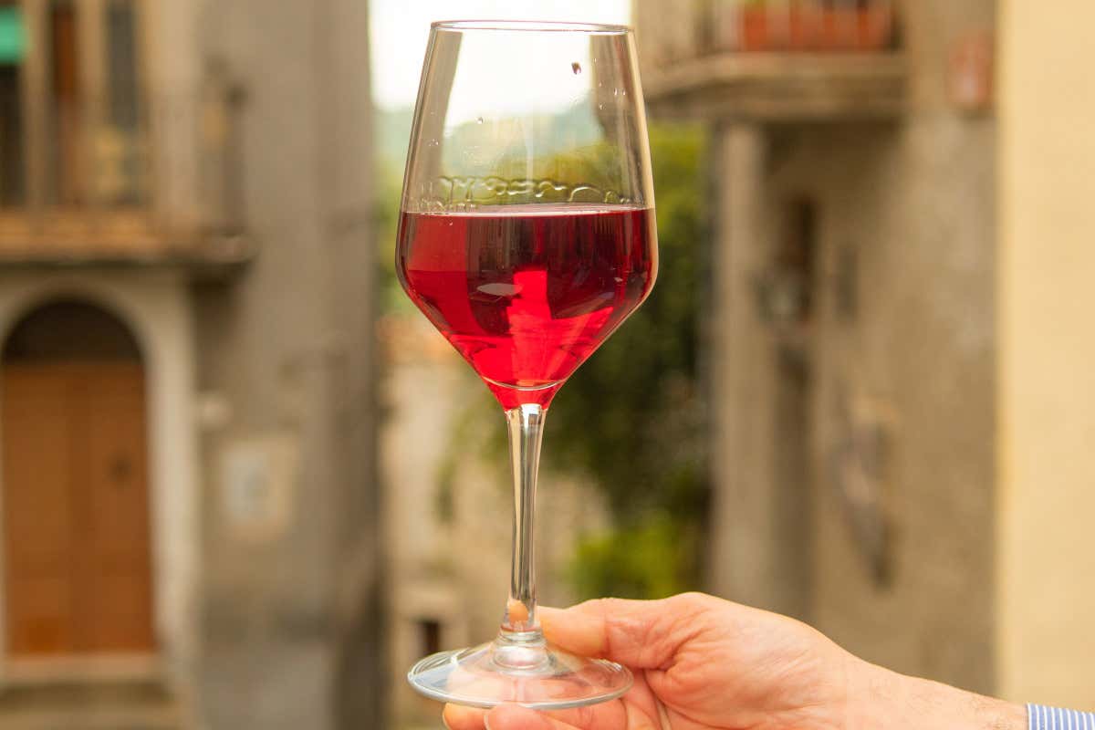 Biodiversità e giovani viticoltori: la Calabria rilancia la sua identità enologica Biodiversità e giovani viticoltori: la Calabria rilancia la sua identità enologica