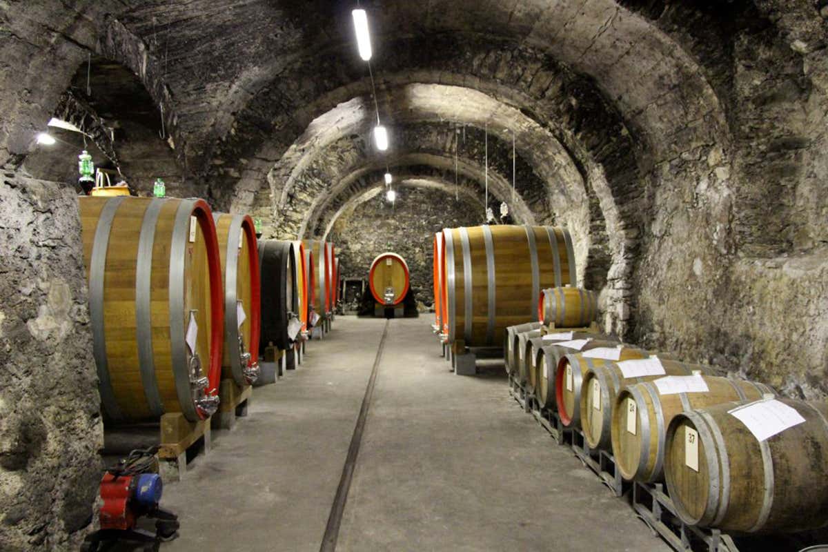 Cantina Nobili: l'espressione pura e sostenibile del Nebbiolo