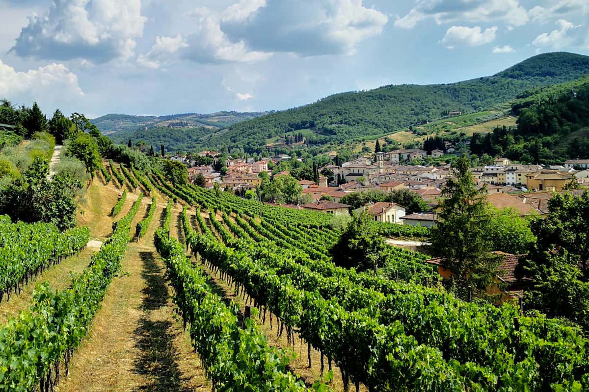 RIVISTA - La viticoltura cittadina esiste ancora: il caso di Podere Campriano nel Chianti