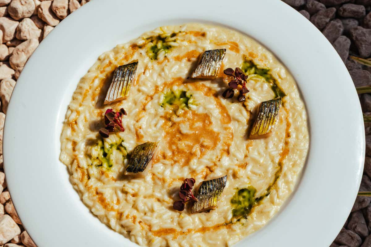 Sapori d'Italia con uno sguardo al futuro: la filosofia gastronomica di Al Gallione