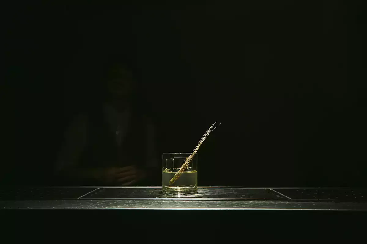 Dream House, per i cultori del whisky un punto di irferimento Il fascino e il gusto del whisky al club