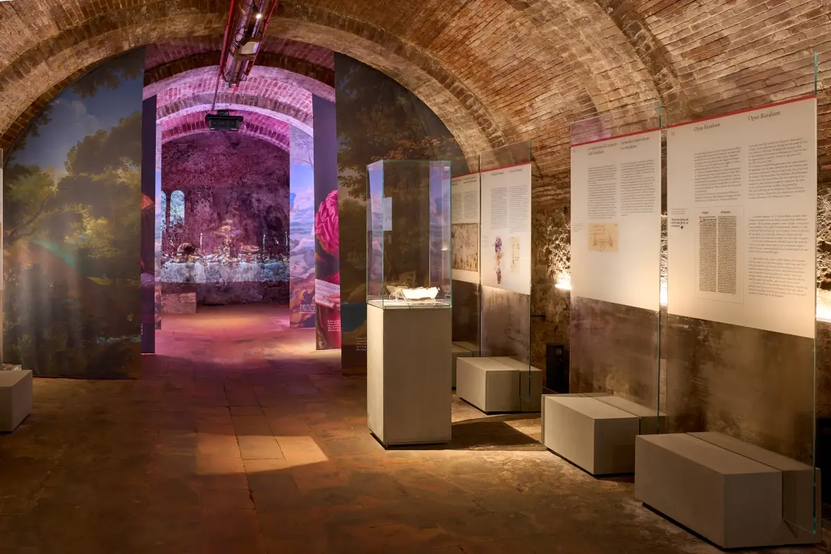 Wine Genius, un luogo che racconta la passione per il vino di Leonardo da Vinci