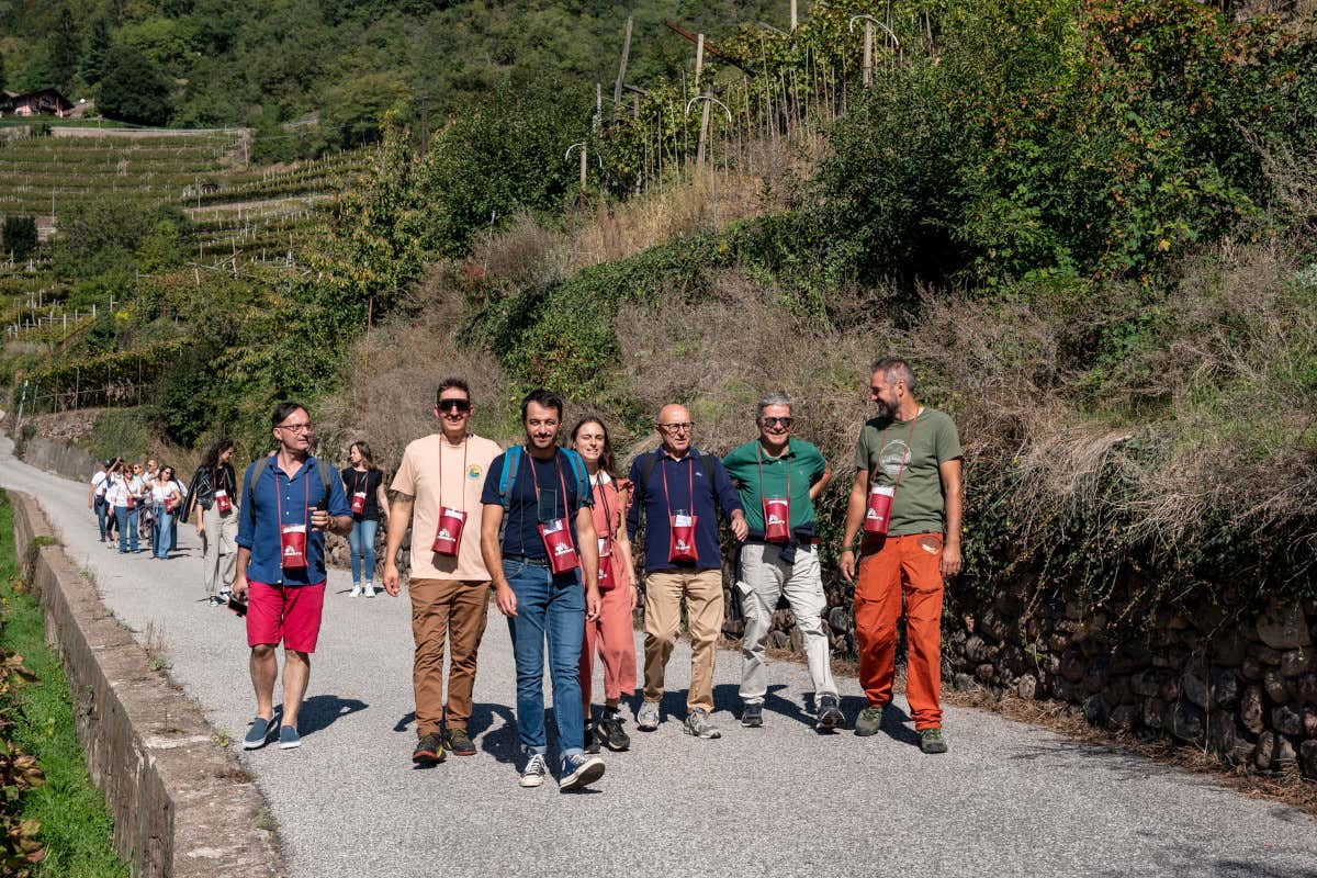 Wine Trekking Gourmet in Val di Cembra insieme a DoloViniMiti
