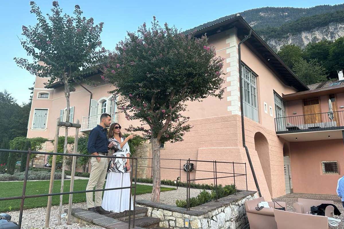 Vini Alto Adige, il nuovo disciplinare slitta al '24. Ma rimedia la vendemmia