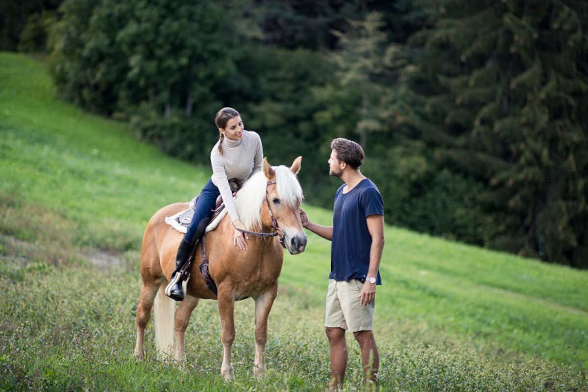 Il maneggio del Winkler 