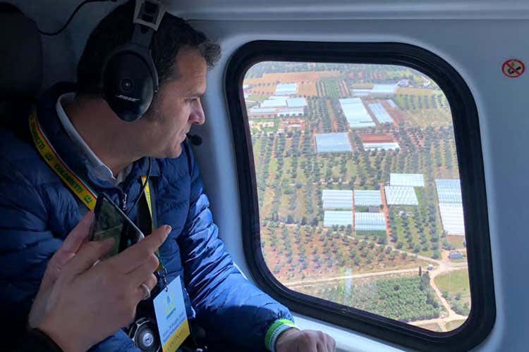 (Xylella, blitz aereo di Centinaio: «La colpa è anche dello Stato»)