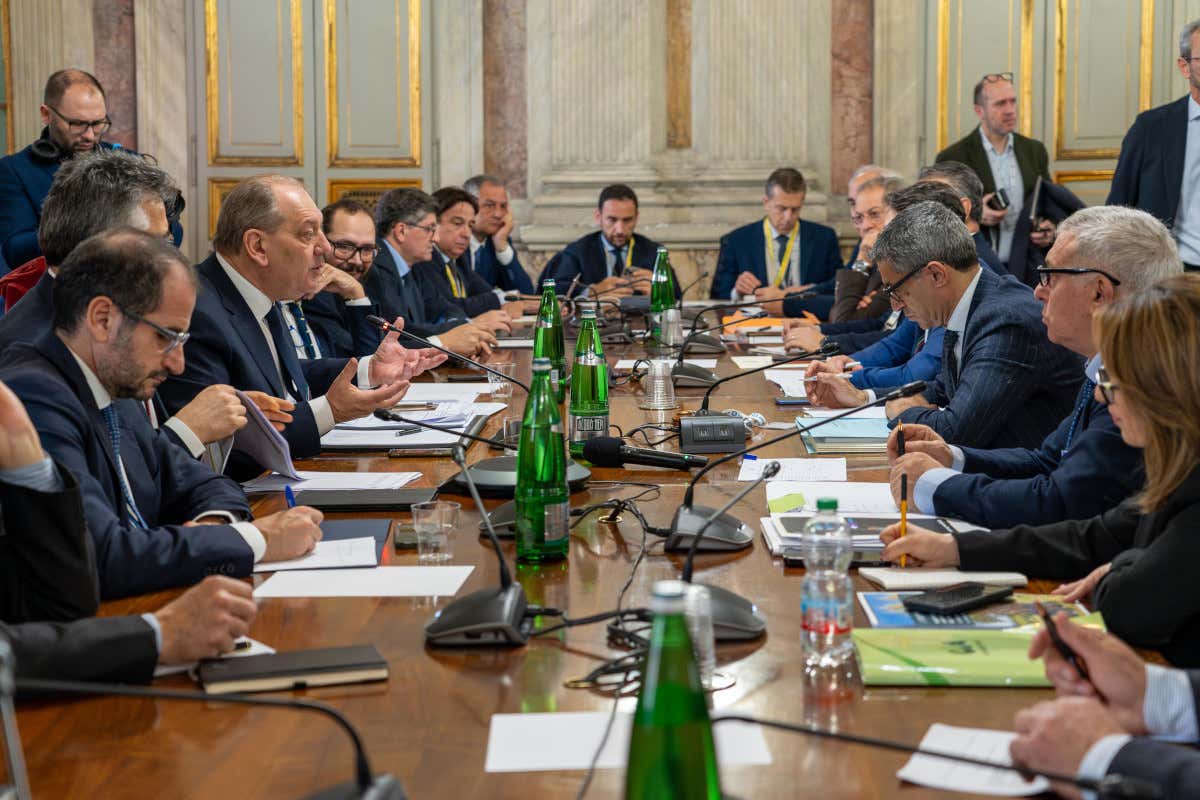 Xylella in Puglia, svolta del governo: stanziati 30 milioni per gli agricoltori