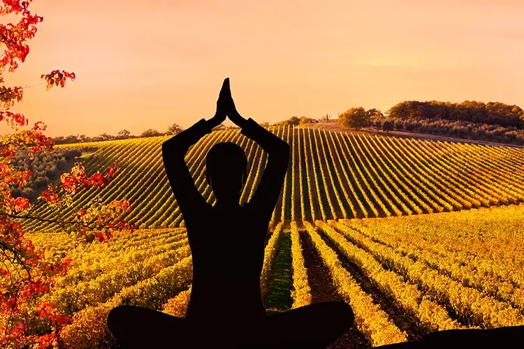 Movimenti fluidi con lo yoga, alleniamo caviglie e piedi