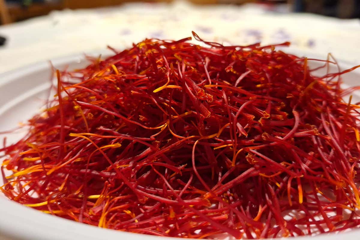 Lo sapevate che lo Zafferano padano è nato da un'idea di un perito chimico? Lo sapevate che lo Zafferano padano è nato da un'idea di un perito chimico?