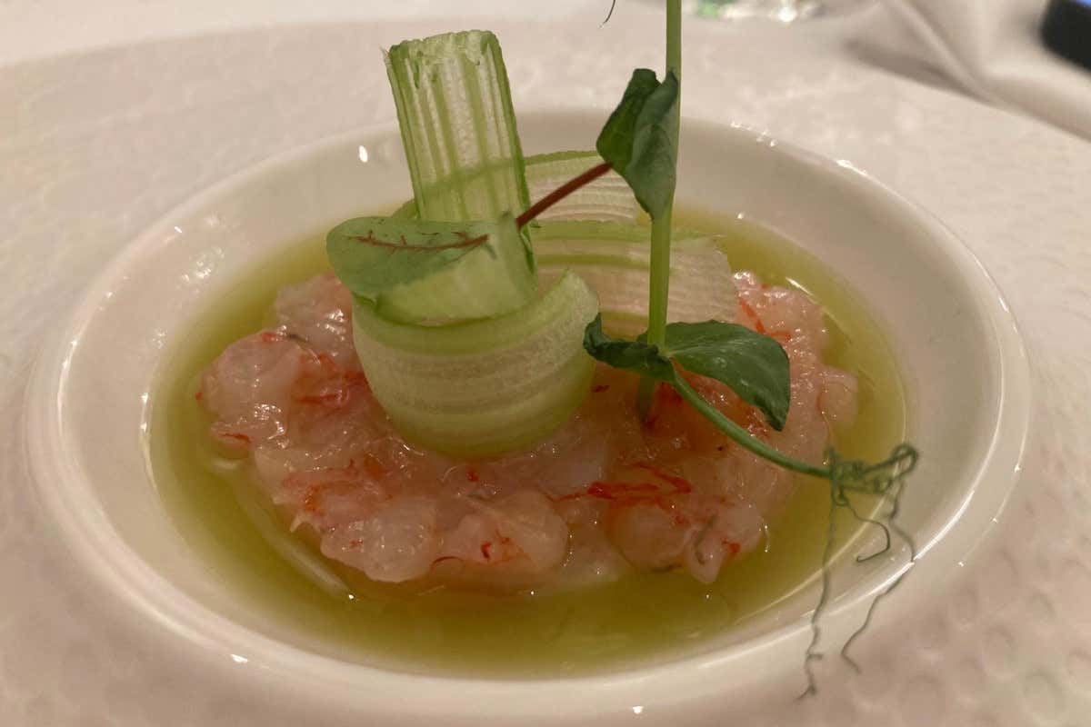 Perla di gambero rosso con estratto di kiwi e sedano croccante