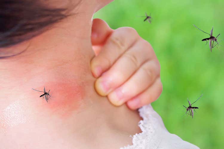 Il covid non si trasmette con le punture delle zanzare - Le zanzare non trasmettono il Covid Ma è meglio evitare le punture