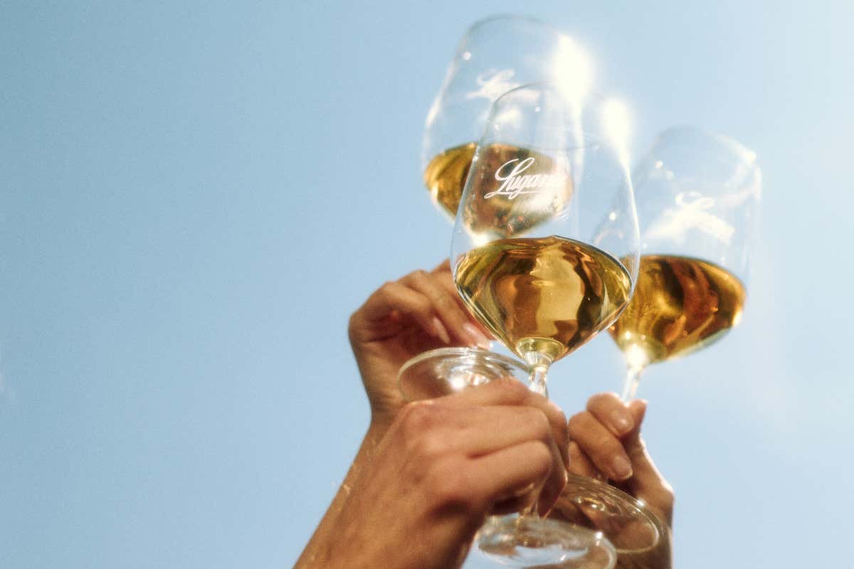 Non solo freschezza: il Lugana scopre la sua anima longeva tra riserve e grandi annate Non solo freschezza: il Lugana scopre la sua anima longeva tra riserve e grandi annate