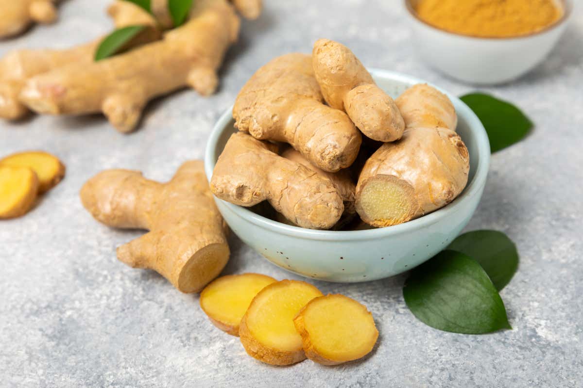 Zenzero, il rizoma che fa bene: proprietà, valori nutrizionali e benefici