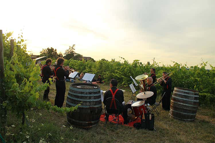 (Brindisi a ritmo di musica Torna Zola Jazz&Wine)