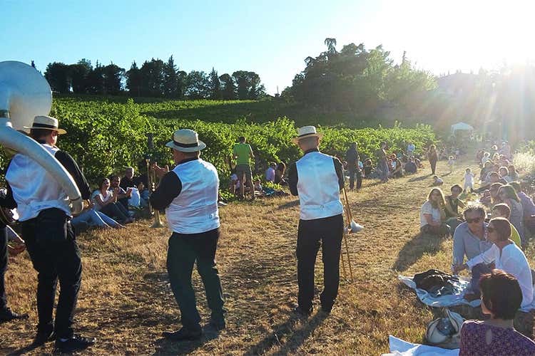 (Brindisi a ritmo di musica Torna Zola Jazz&Wine)