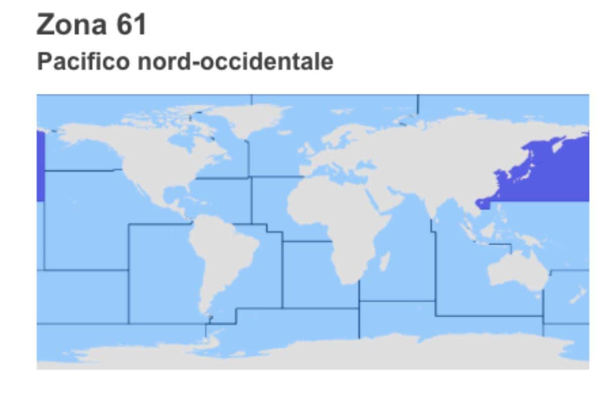 Come riconoscere il pesce di Fukushima? Ecco cosa sono le zone di pesca Fao