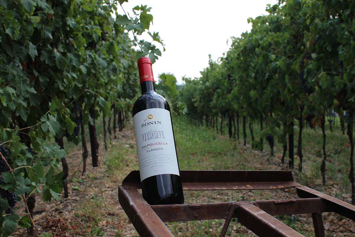 Obiettivo: vini eccellenti Zonin1821, per i 200 anni si punta ad una espansione internazionale