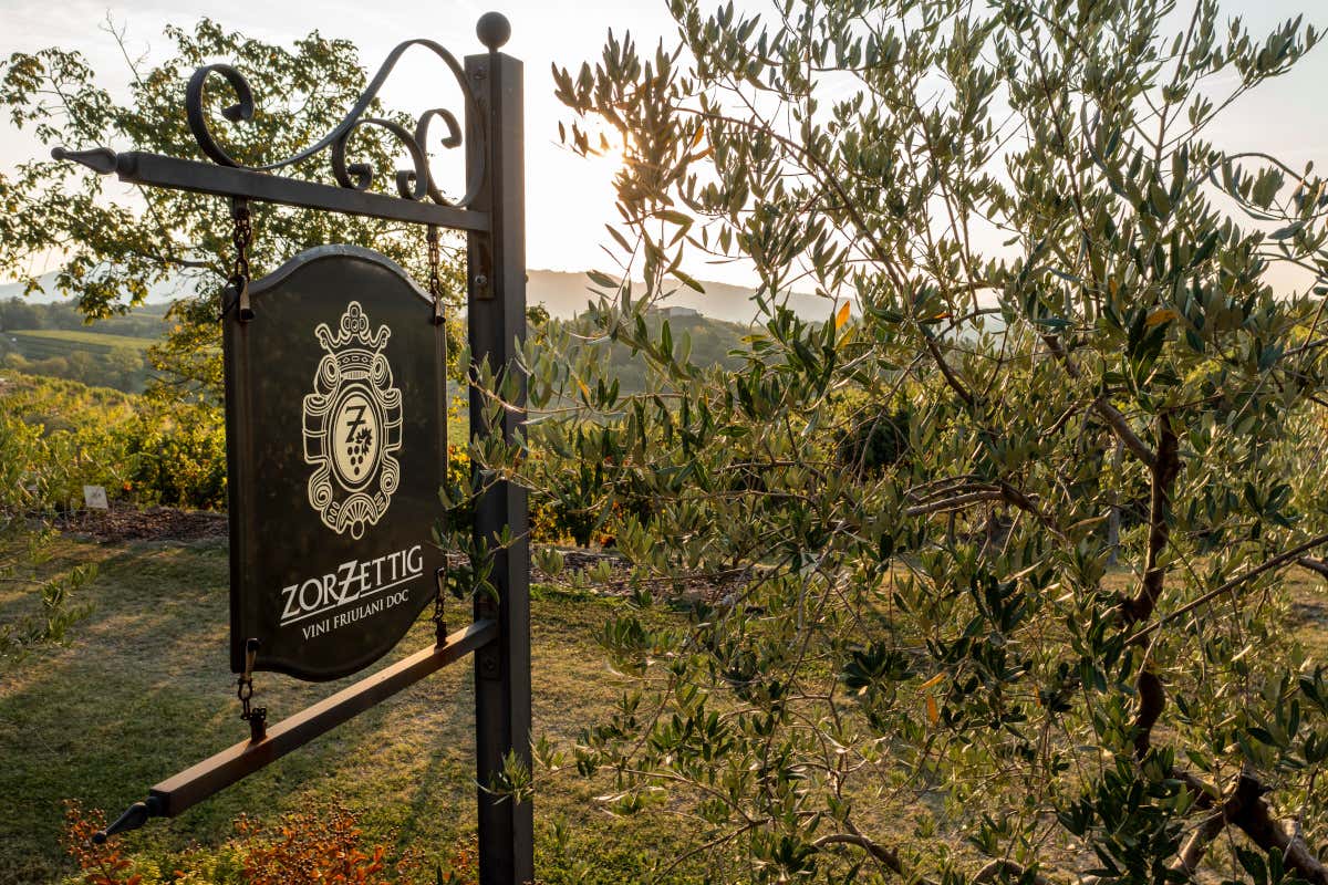 I vini Myò: il Friuli di Annalisa Zorzettig conquista Firenze