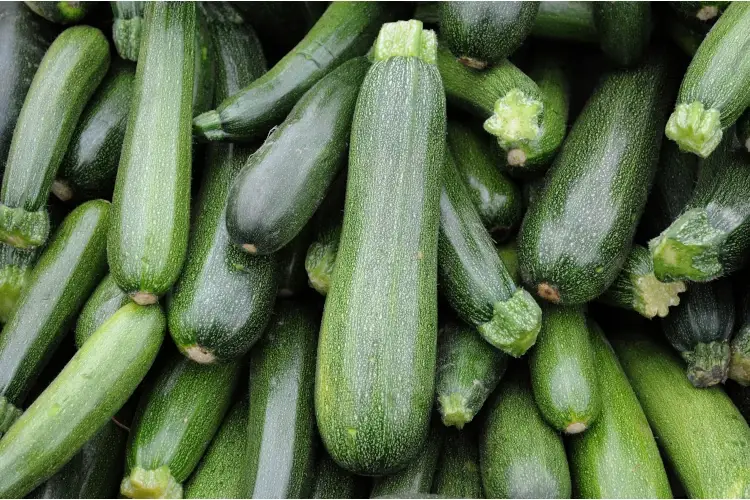 Troppo caldo le zucchine ora si coltivano anche a mille metri
