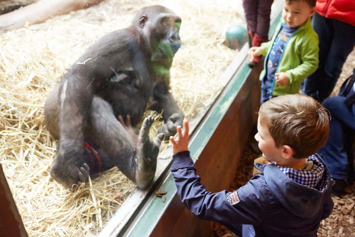 Vacanze in famiglia? In autunno la meta perfetta è Zurigo