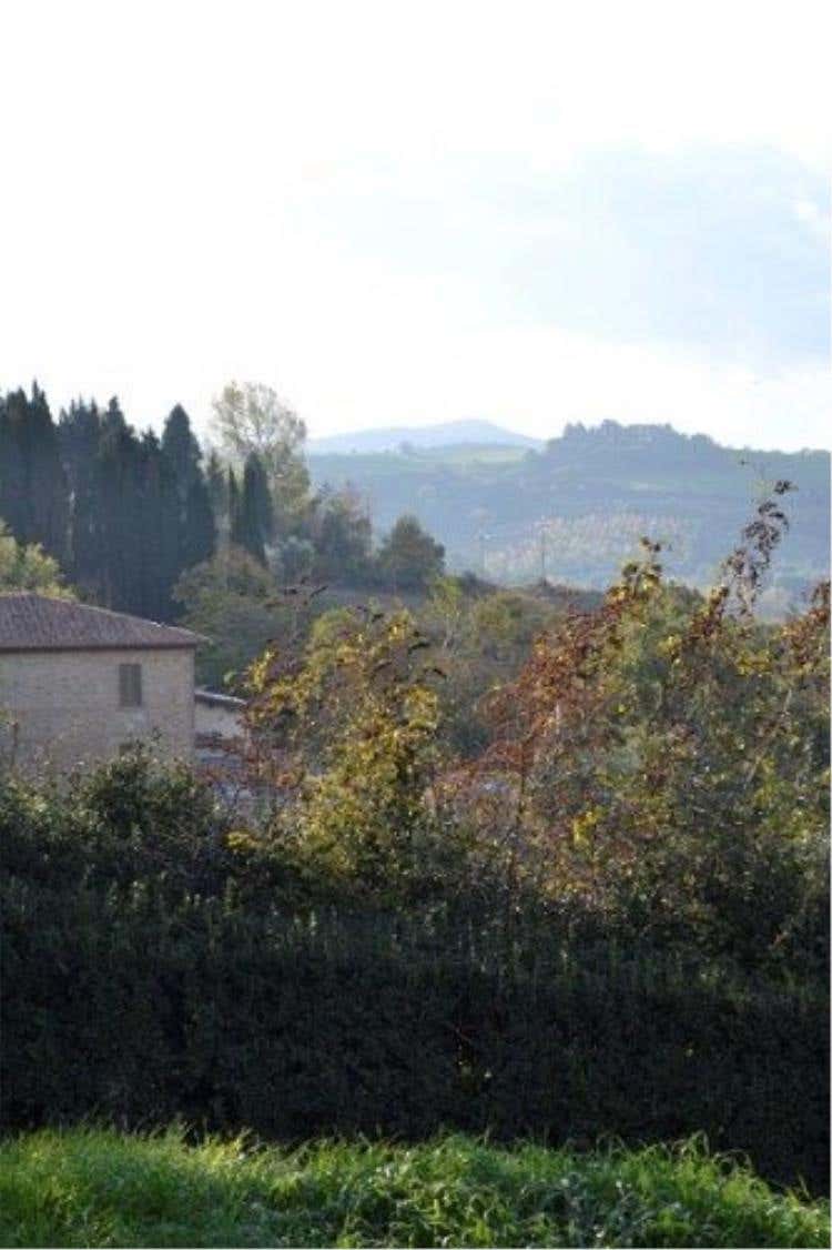Foto 36