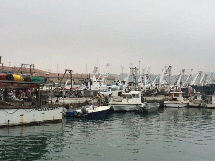 Foto 18