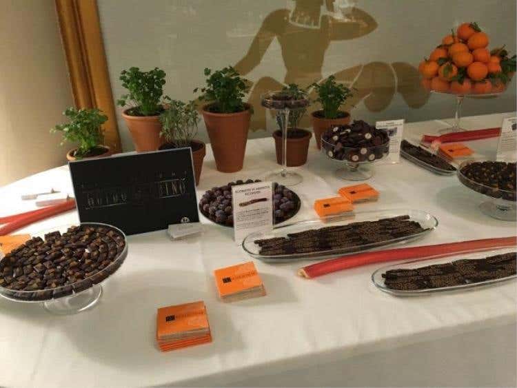 Foto 10