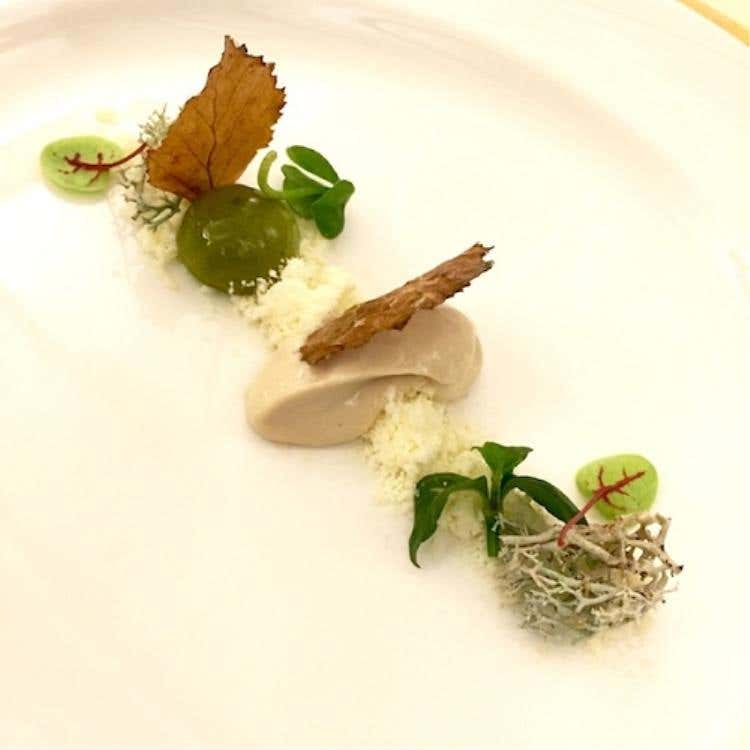 Tosella, sarde di lago, betulla, acetosella e lichene bianco (Chef Alessandro Gilmozzi