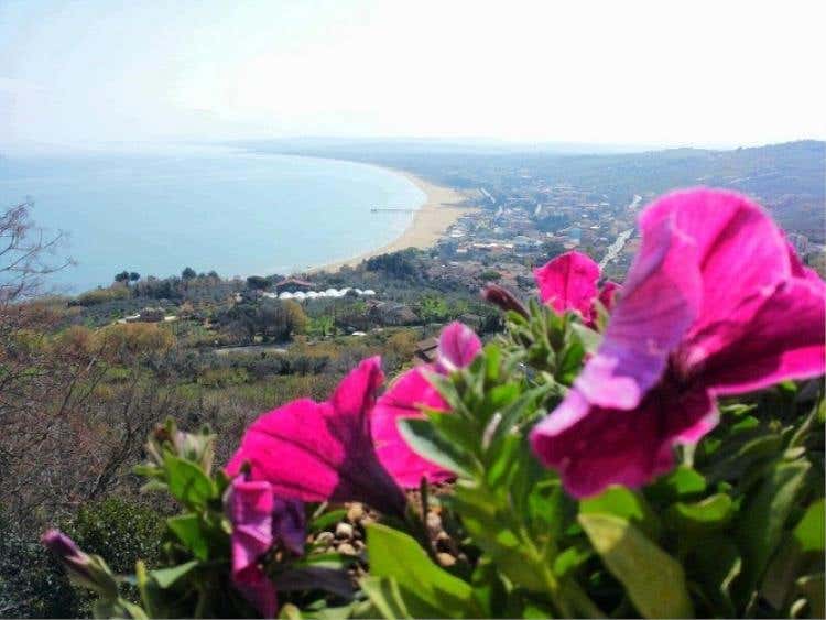 Vasto