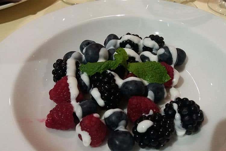 Crema di yogurt con piccoli frutti di bosco