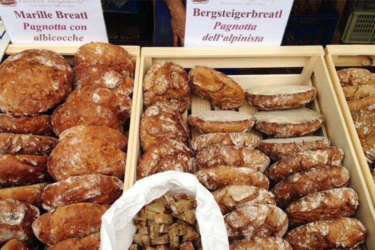 Il pane in degustazione del panificio Moser di Anterselva