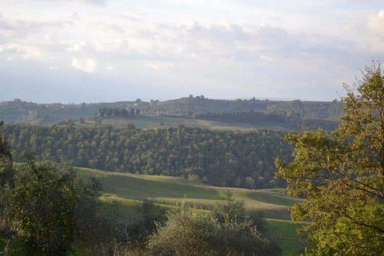 Foto 22