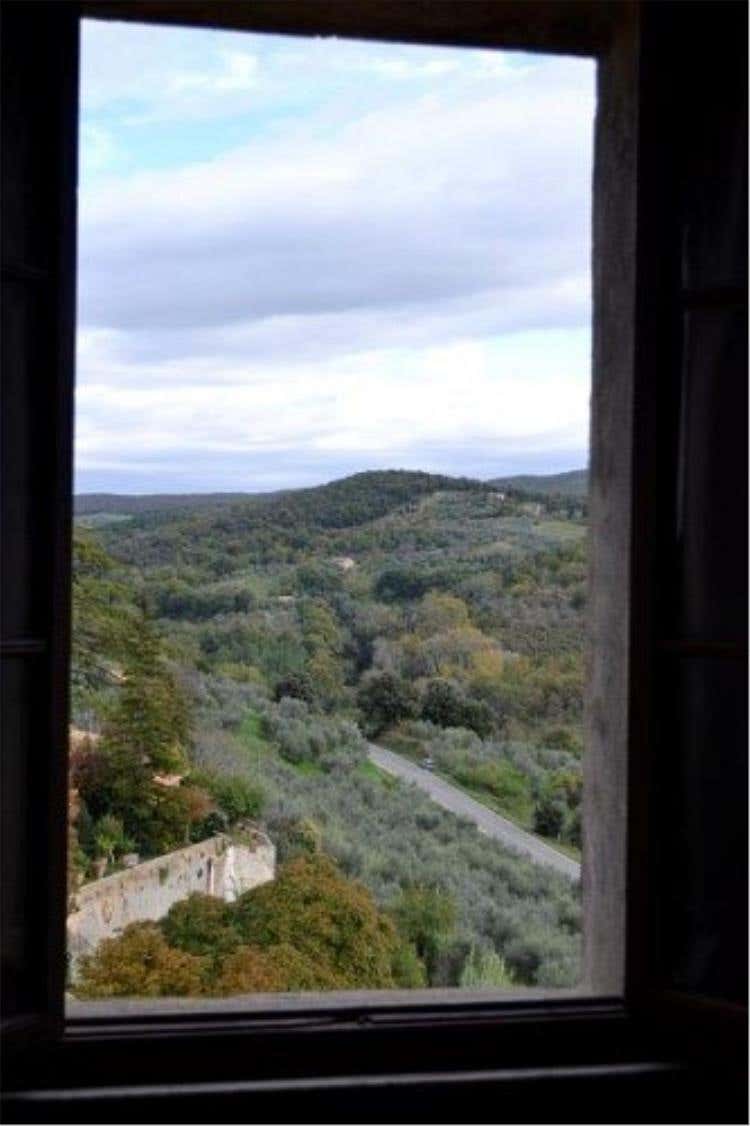 Foto 11