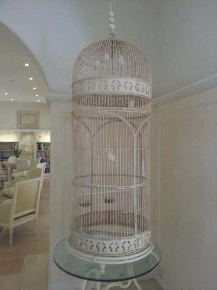 Foto 14