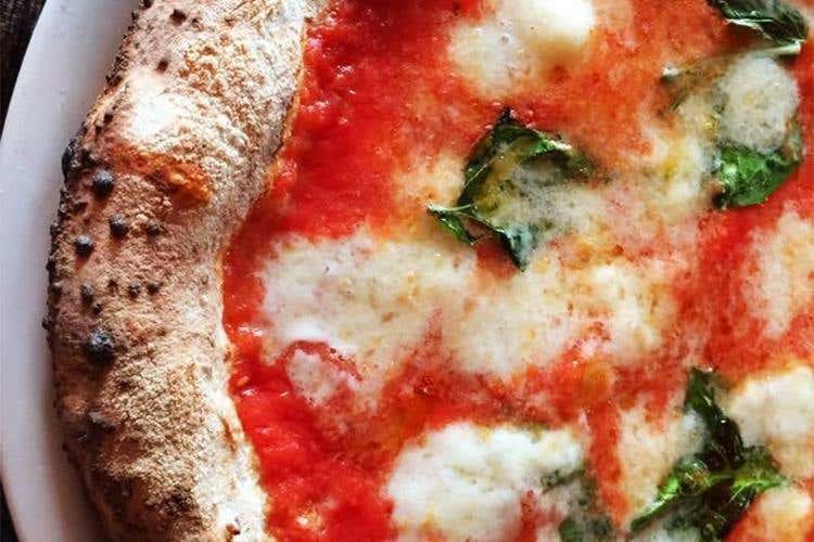 Pizza margherita