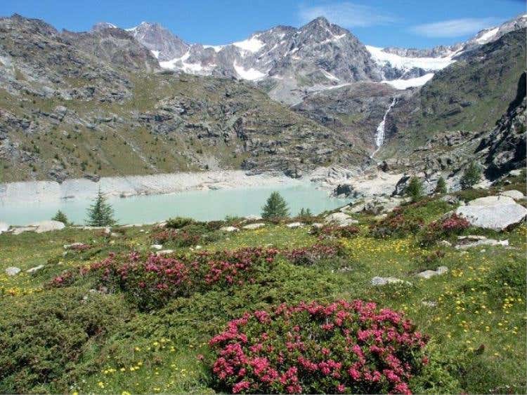 Campo Moro