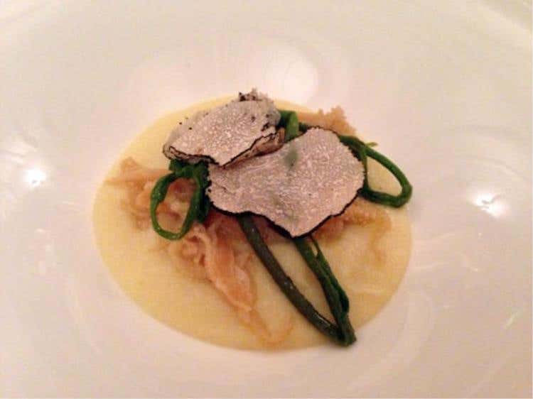 Trippa grigia con baccalà mantecato, luppolo selvatico, tartufo nero e germogli