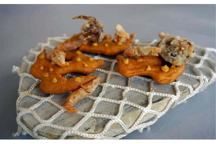 Venezia - Una “rete di coralli” con crostacei e moleche