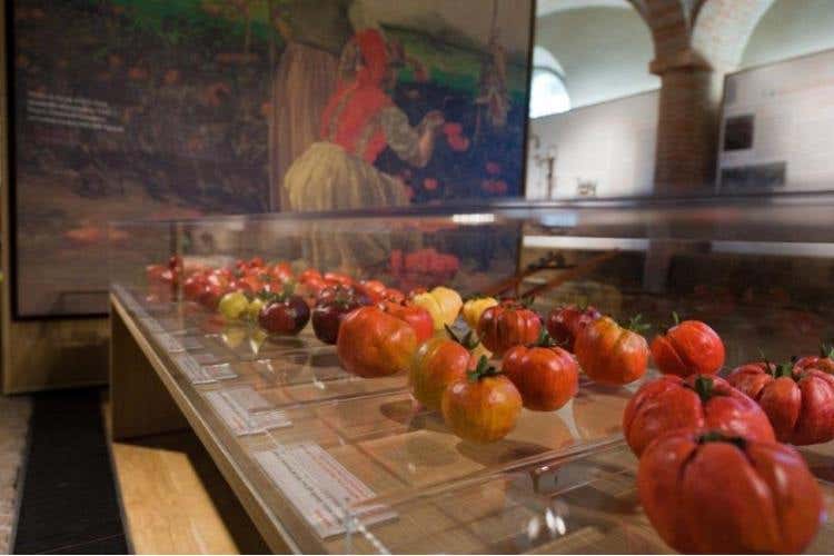 Museo del Pomodoro