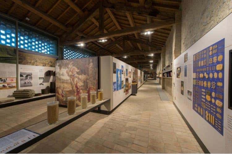 Museo della Pasta